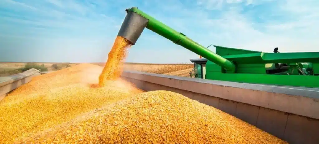 Corn Export and Sell